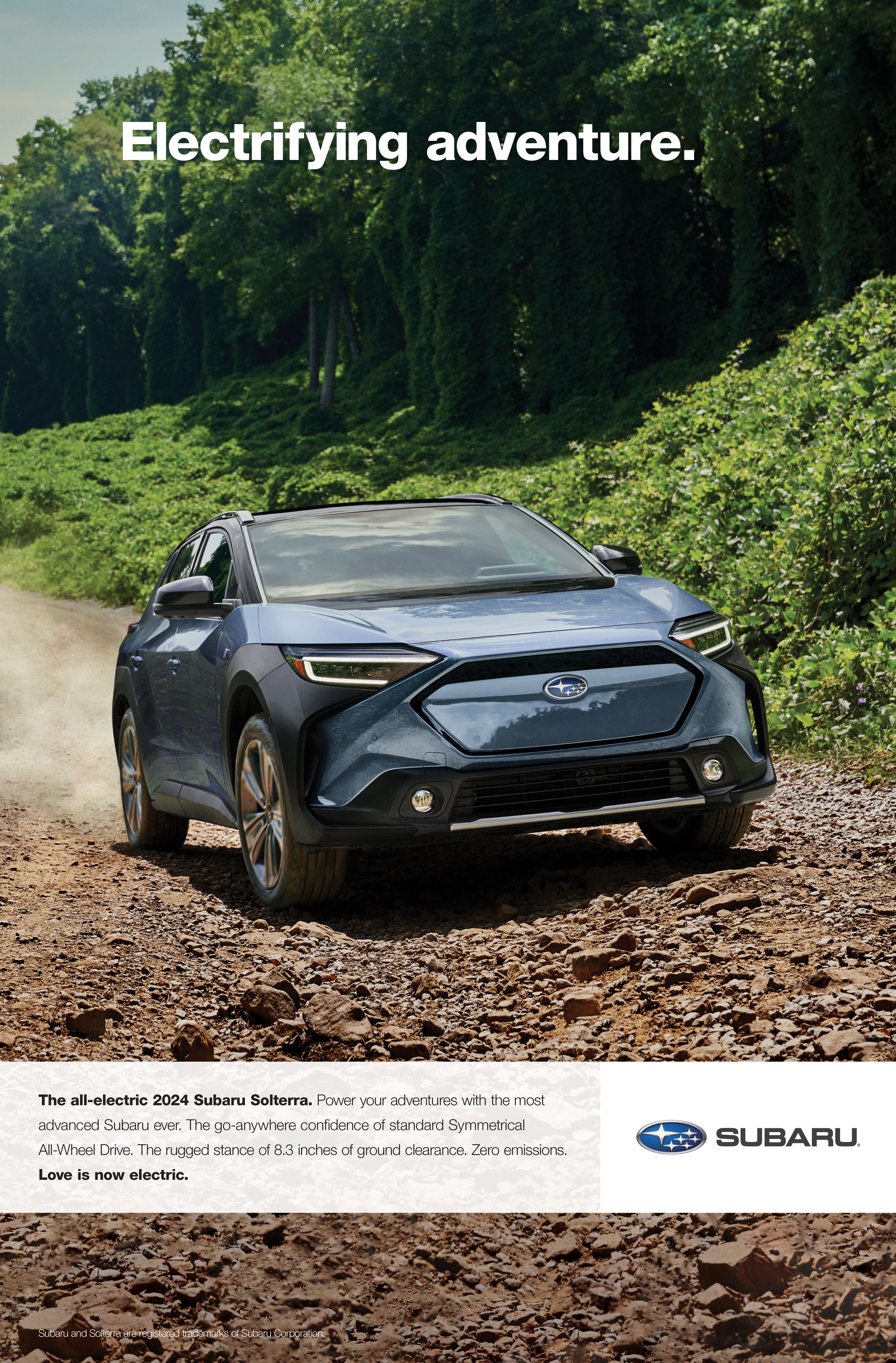 Subaru 25x38 poster — print